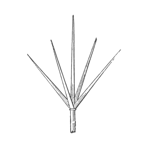 lightning rod